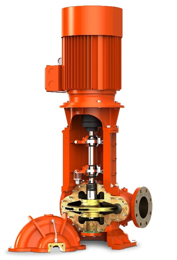 IRON PUMP